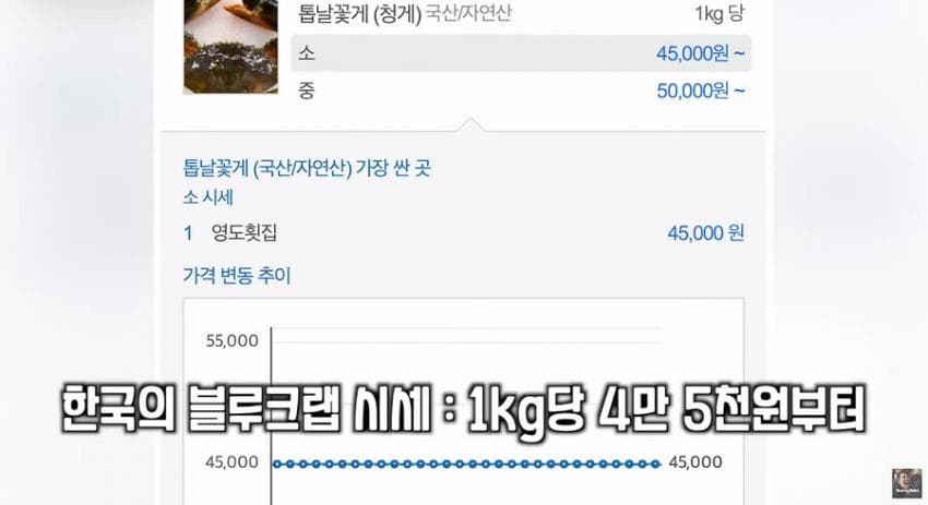싱글벙글 이탈리아에서 청게(블루크랩) 가격 (14)