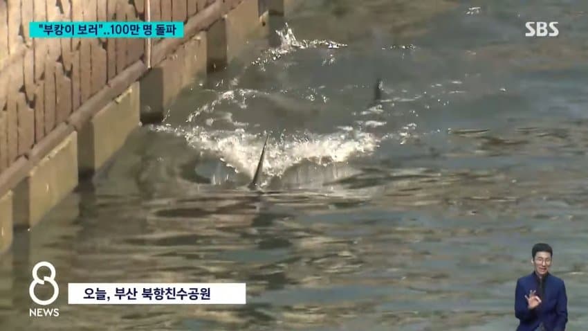 부캉이 보러... 결국 누적 100만명 돌파 (3)
