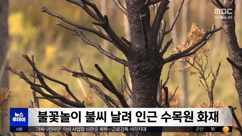 계속되는 안전사고, 환경오염에 취소되는 불꽃놀이