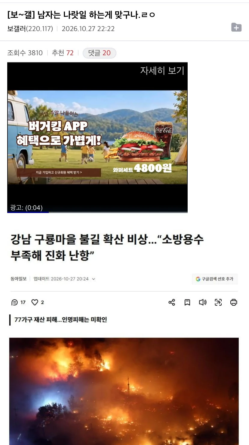 보갤러 : 남자는 나랏일 하는게 맞구나 ㄹㅇ