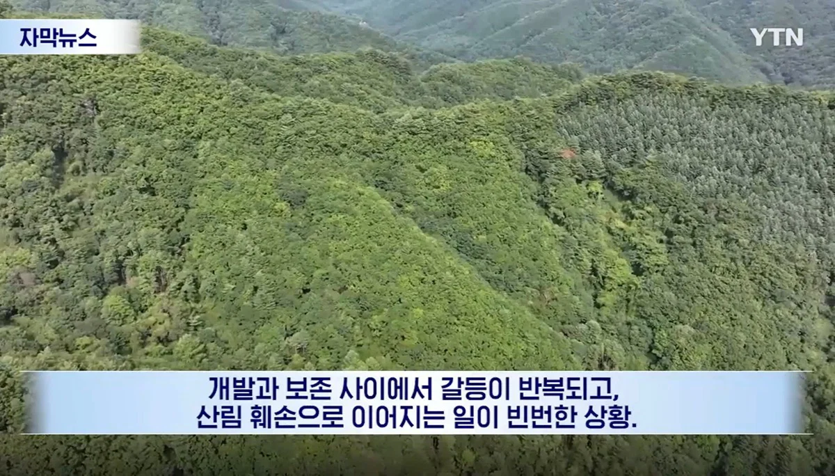 수십억 들여 숲 사놓고 아무것도 안한 이유 (17)