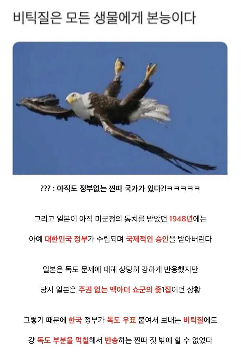 어찌보면 한국 최후의 의병 (5)