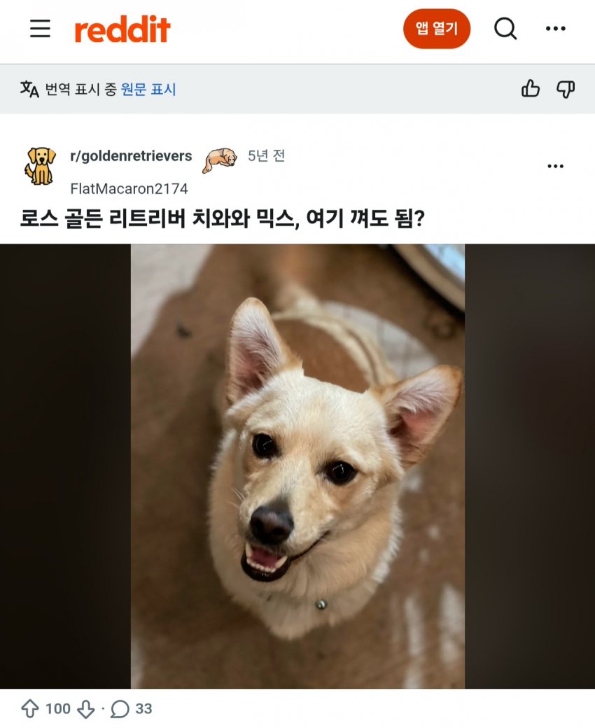 싱글벙글 래딧에 유행한다는 미친 짓