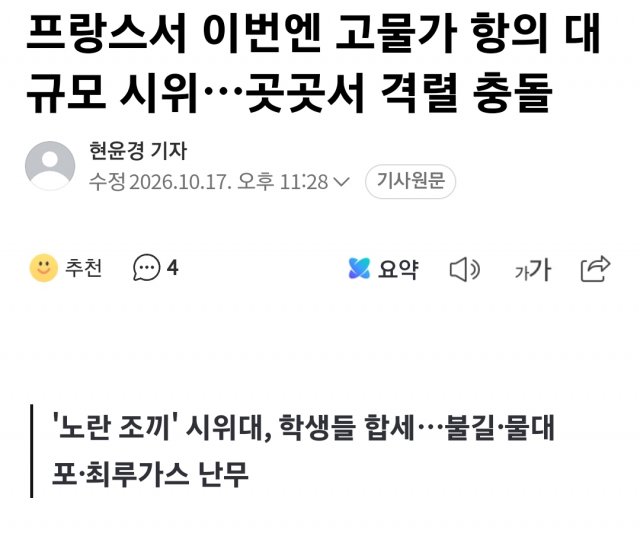 프랑스 시위 심각한듯 (9)