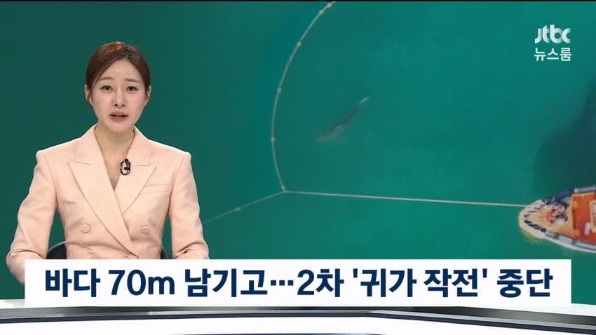 상어 부캉이 구조작업 또 실패…바다 앞서 멈췄다 (3)