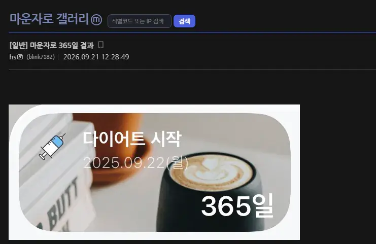 마운자로 365일 결과