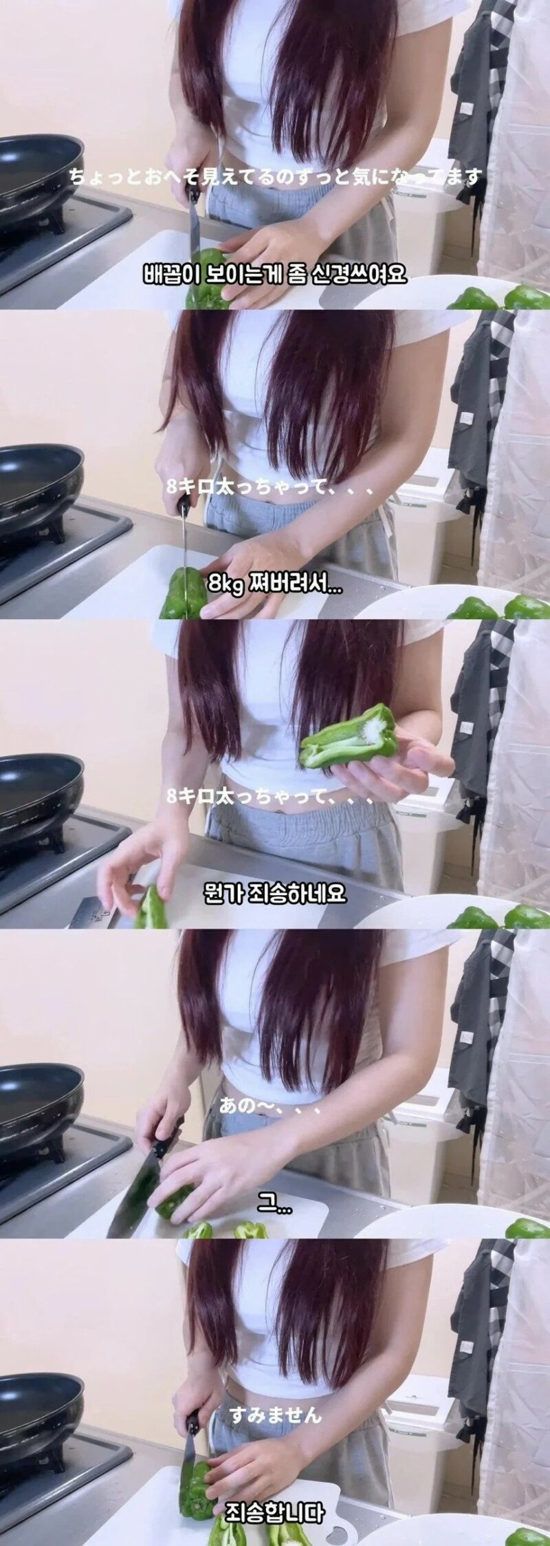 (ㅇㅎ?) 살쪄서 미안하다는 일본여자 (2)