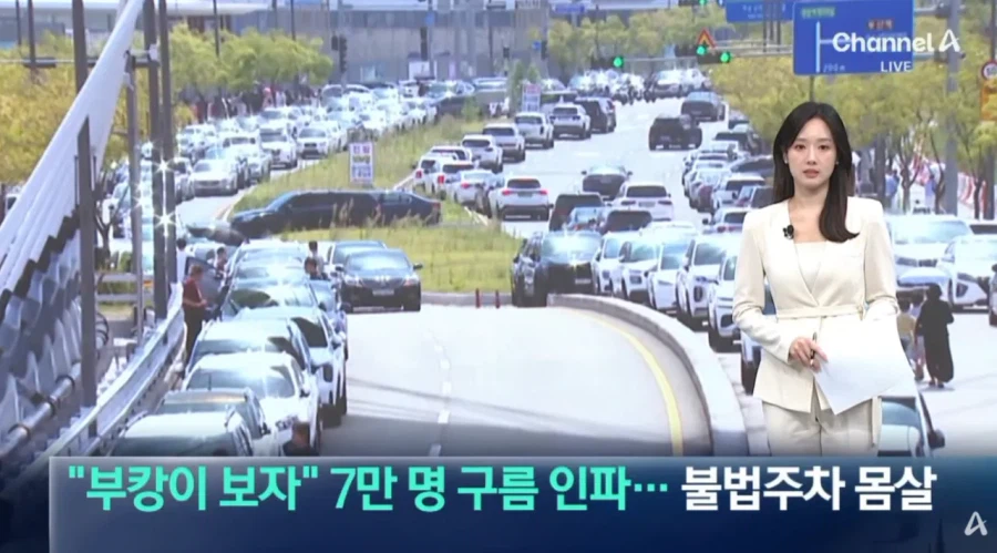 추석 연휴 기세 탄 부산 상어 근황