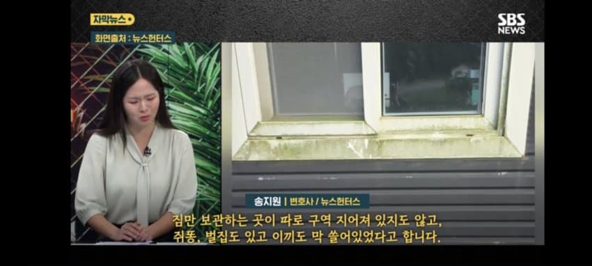 보관이사 맡겼다가 곰팡이, 벌레로 가구 다 망가진 제보자 (20)