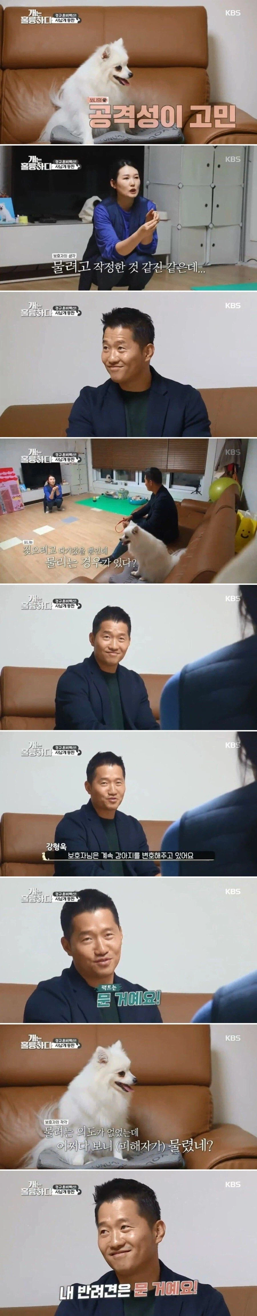 우리개가 물려고 한건 아니라는 견주에게 팩폭 날리는 강형욱