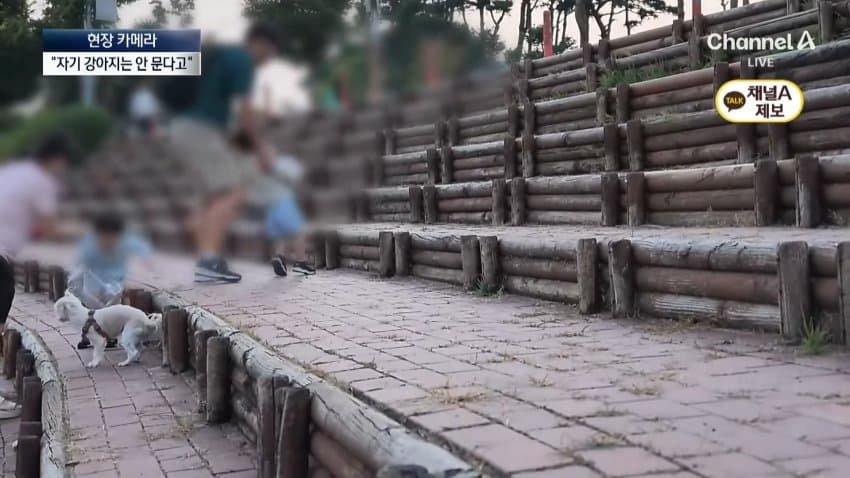 채널a) 단속원 퇴근하자...공원이 '개판' (33)
