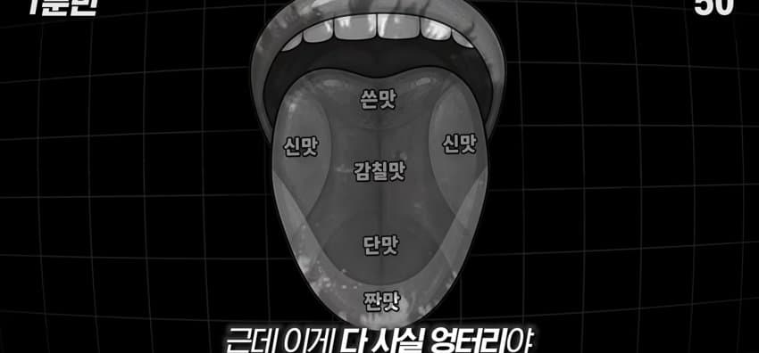 학교에서 배운 '혀 맛' 지도가 잘못됐다..? (6)