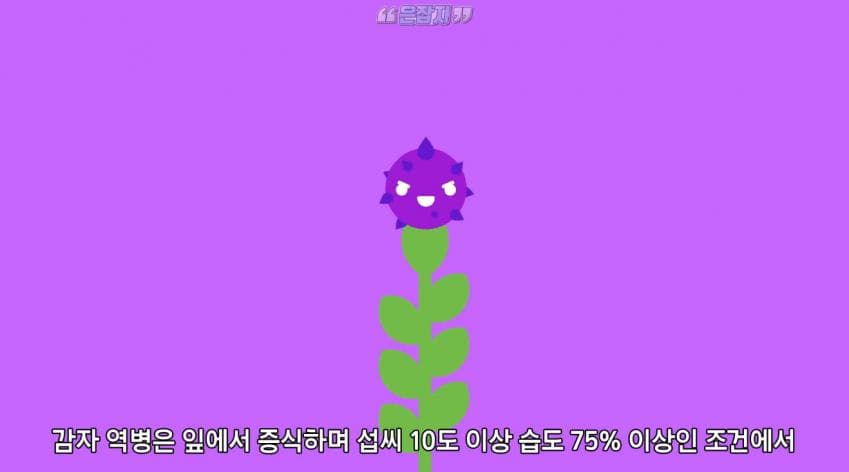 인구가 절반으로 줄어든 사연 (20)