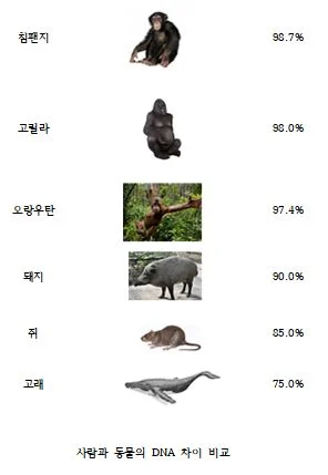 산삼의 dna를 98.8%복제한! (2)