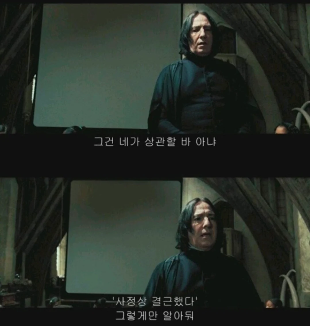 의외로 다 가르쳐주었다는 스네이프 교수 (2)