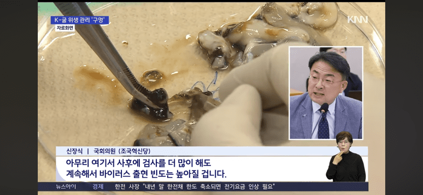 현재 논란이라는 경상남도 굴 상태 (9)