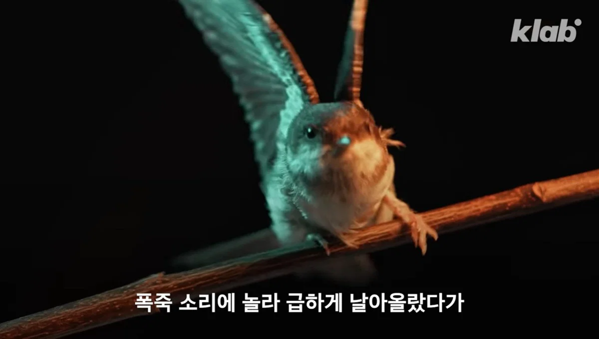 새들에겐 거의 전쟁난 수준이라는 불꽃축제 (3)