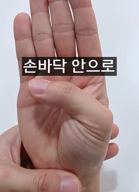 긴급) 지금 이동작 안되면 바로 병원에 가야 합니다! (26)