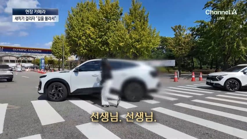 채널a) 차 머리부터 '쑥'..야구장 앞 얌체들 (34)
