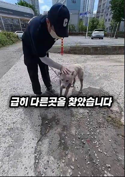 평생 목욕 한번 안 해본 차고지 지킴이 2살 한성이의 생애 첫 목욕대작전 (36)