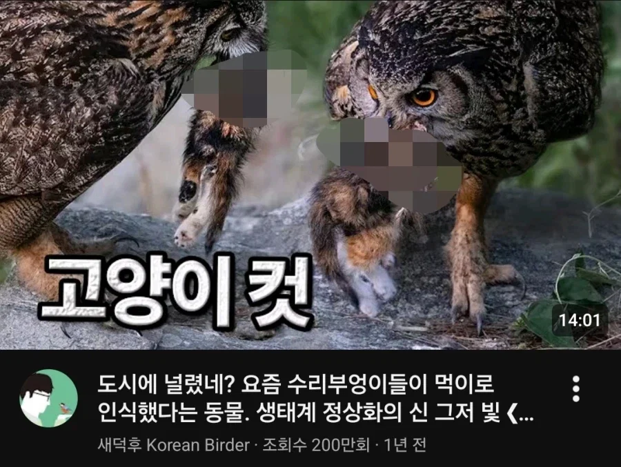 혐주의) 와 ㅅㅂ 새덕후 이건 뭐냐... (2)