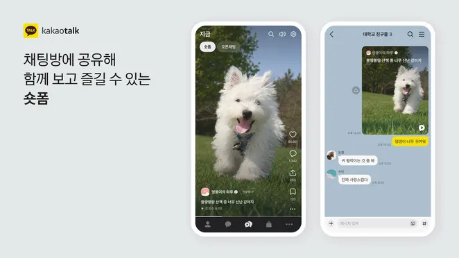 업뎃 절대 하지 마!' 뿔난 사람들…카톡 개편 무슨 일이