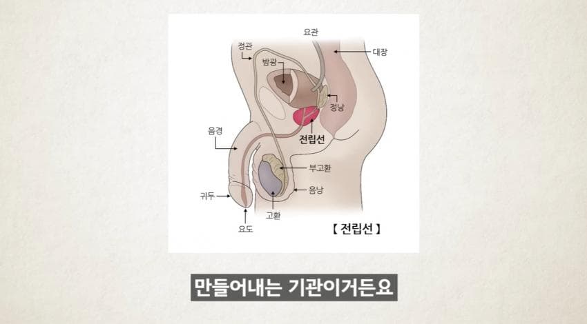 한달에 21번 사정하라 (24)