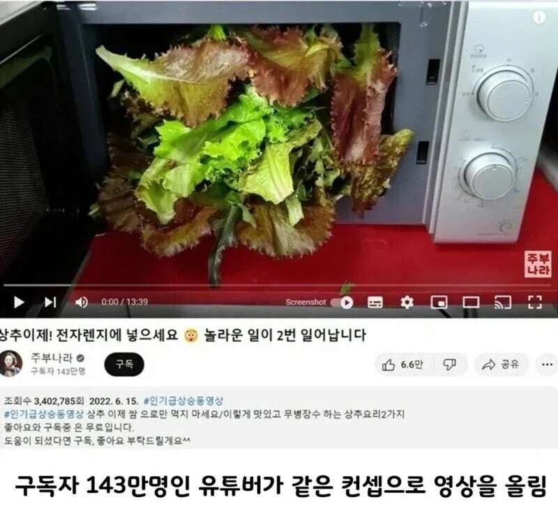 97만 유튜버 영상 카피 한 143만 유투버 (2)
