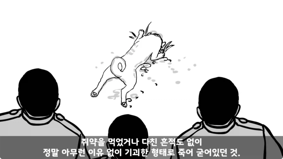 스압,공포) 군대괴담