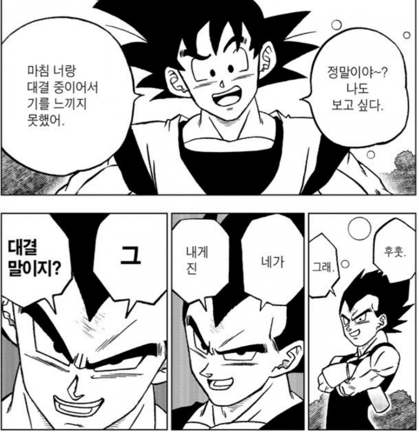 싱글벙글 드래곤볼 손오공과 싸워 다 이긴 담당일진 (12)