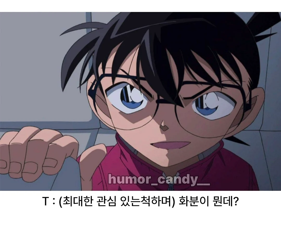 '나 우울해서 화분샀어'에 대한 T의 대답 (5)