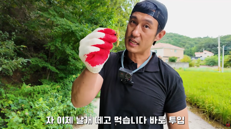 사마귀 먹는 방법 알려주는 유튜버 (10)