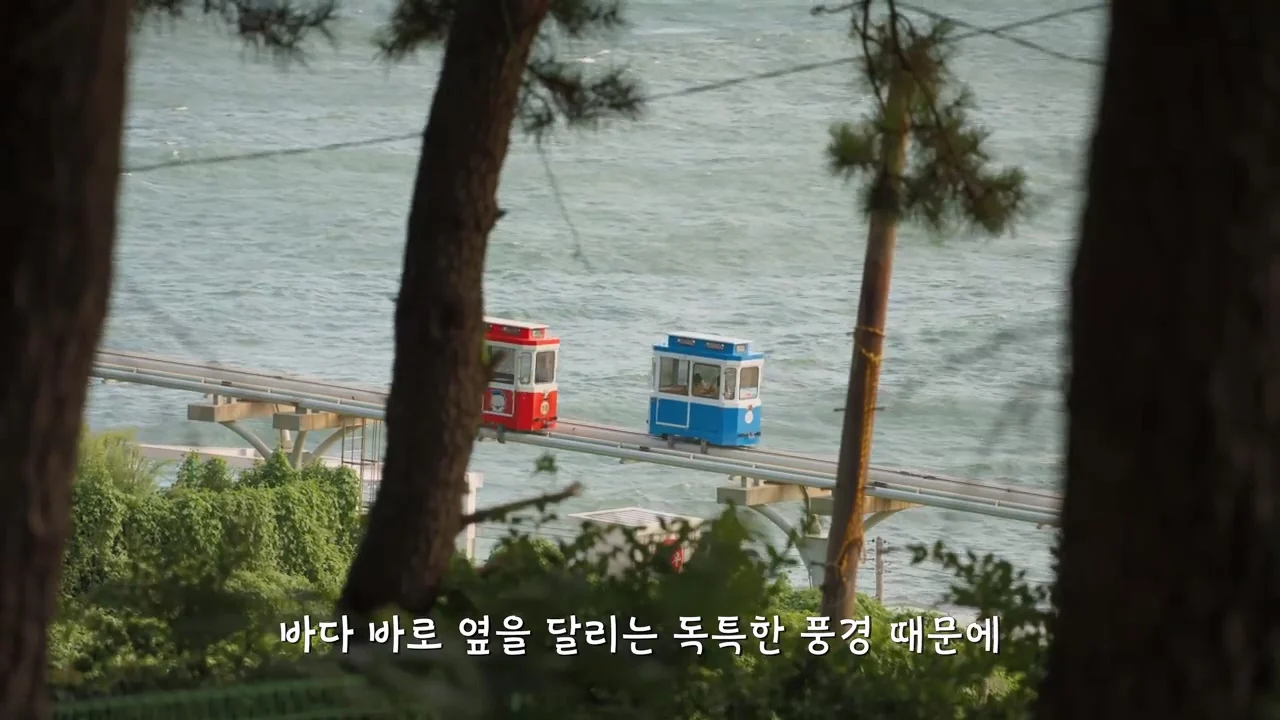 지금 부산에 여행온다고 외국인들이 몰리는 이유 (57)