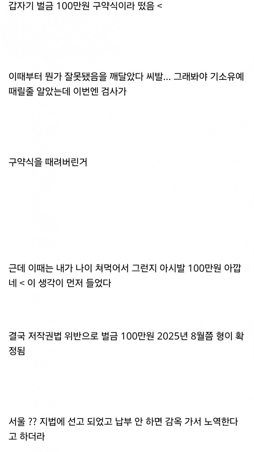 벌금 100만원 내기 싫어서 감옥간 회계사 준비생 ㅋㅋㅋㅋㅋ (27)