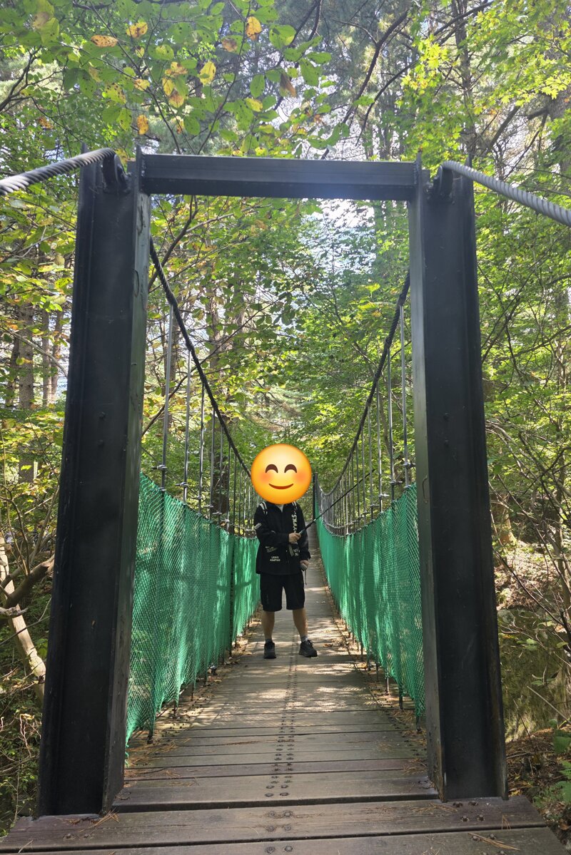 도토리에 이어 다람쥐 많이 볼수있는곳 (9)