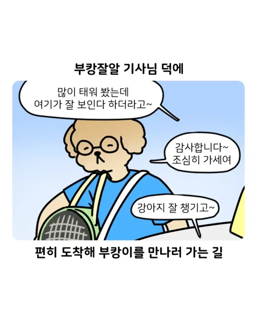 부캉이 보러 부산 갔다 부산 택시 경험한 썰