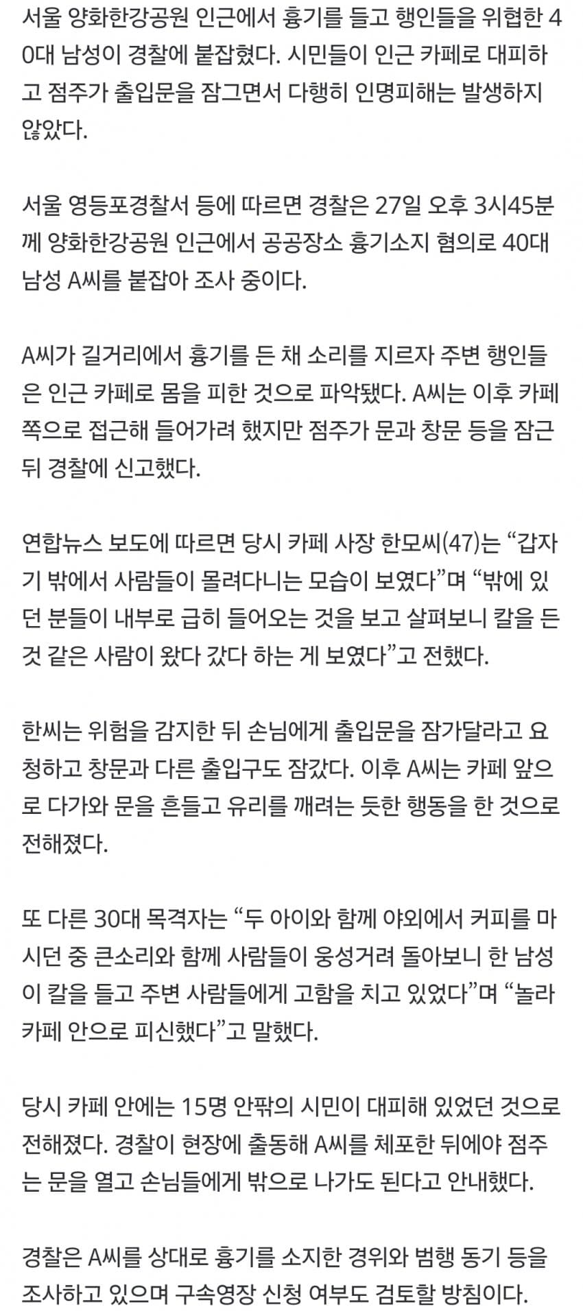 한강공원서 흉기 든 40대 난동…카페 점주 대처로 피해 막아 (3)
