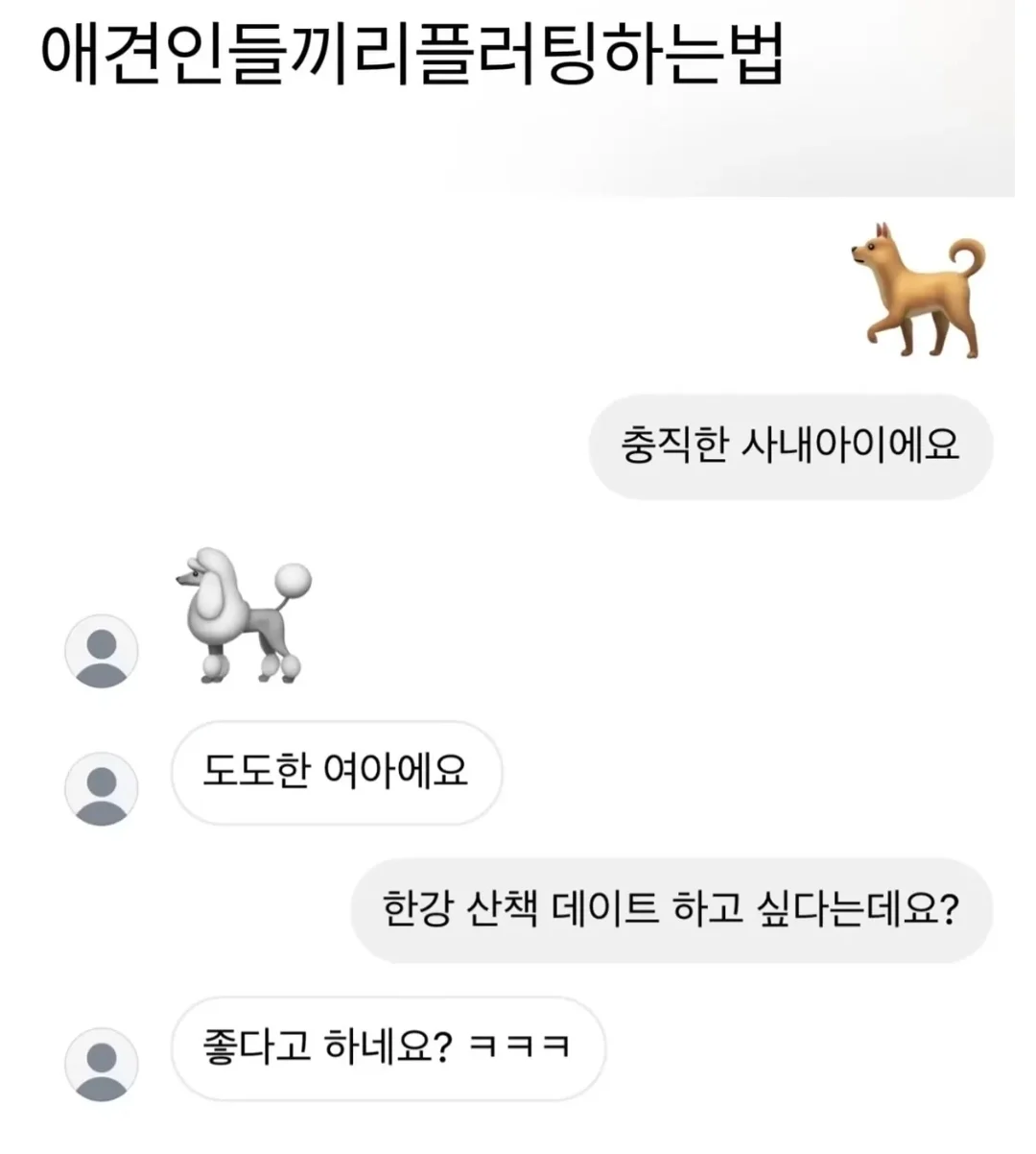 애견인들끼리 플러팅하는법