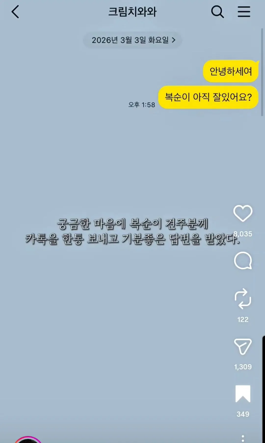 10년 전 유기견을 입양했던 사람에게 다시 연락해봤다