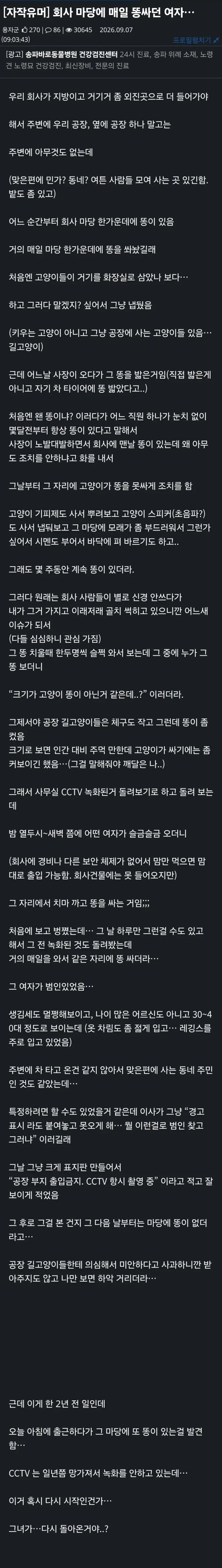 회사 마당에 매일 똥이 놓여있던 이야기