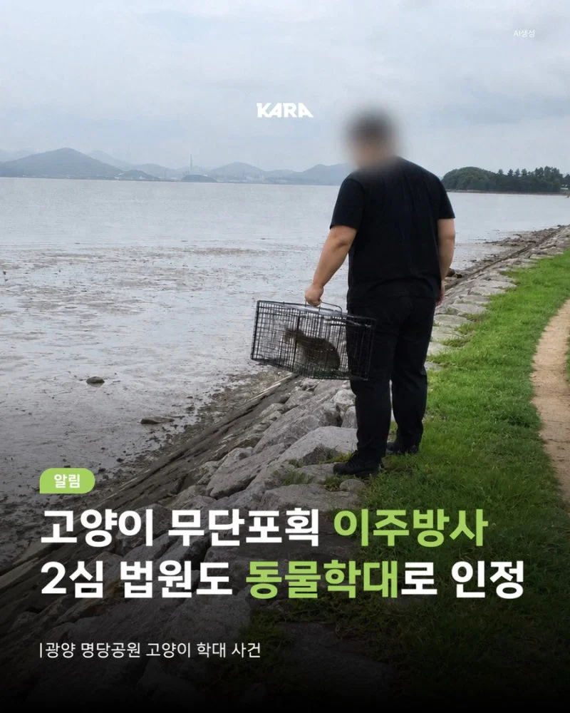 길고양이 갯벌에 무단 방사해서 익사시키고 캣맘 조롱한 남성 동물학대죄 인정 받음