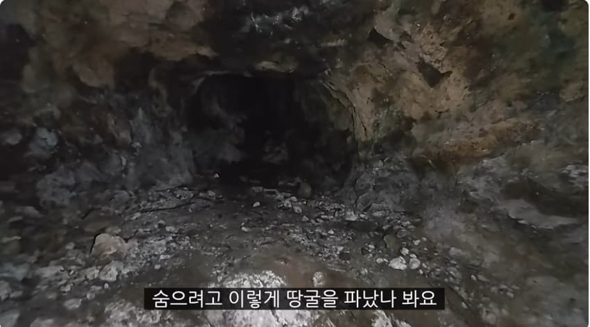 일본 부캉이 등장? 한국인이 좋아서 바다에 다이빙하면서 안부인사해주는일본 (29)