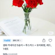 생화 카네이션5송이+루스커스+유리화병1세트 9900원