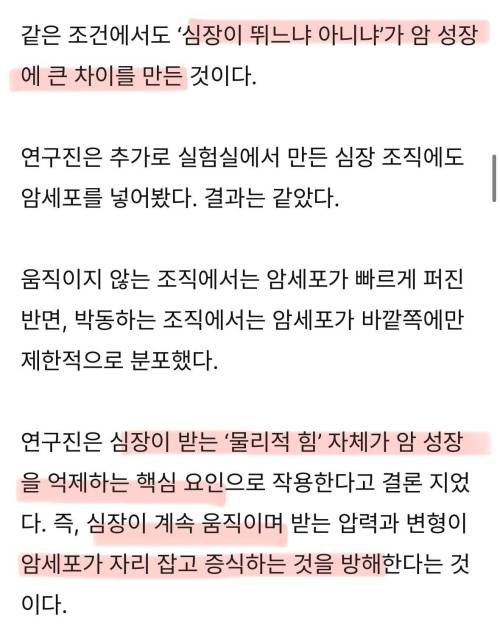 심장은 왜 암이 드물까…수십 년 미스터리 풀렸다