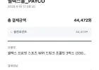 셀렉스 프로핏 스포츠 WPI 드링크 초콜릿 36개