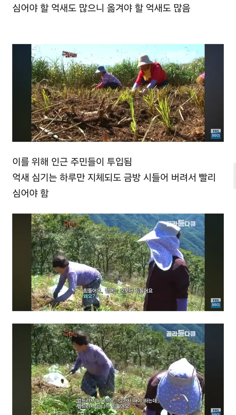 등산로는 누가 어떻게 만드는걸까 (10)