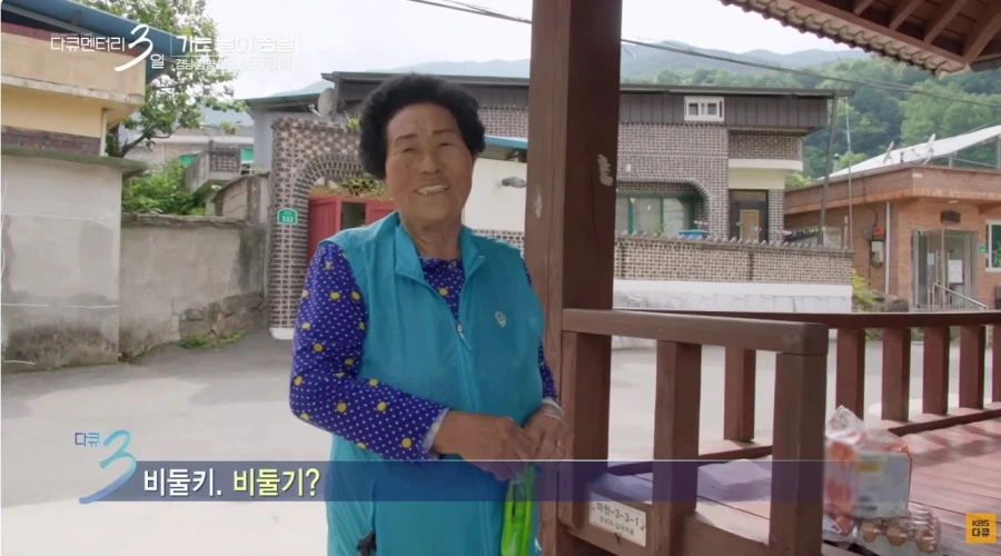 서울 에서 온 PD양반 (9)