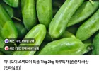 미니오이 1kg