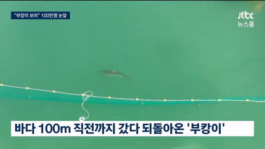 부캉이 보러... 결국 누적 100만명 돌파 (24)