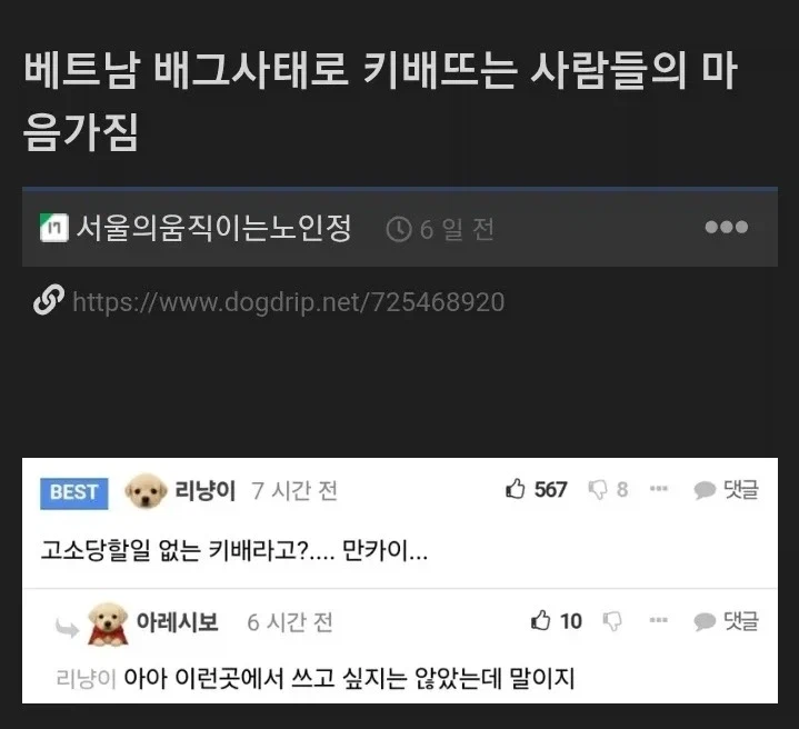 베트남 배그사태로 키배뜨는 사람들 마음가짐